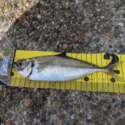 久しぶりのサバゲー