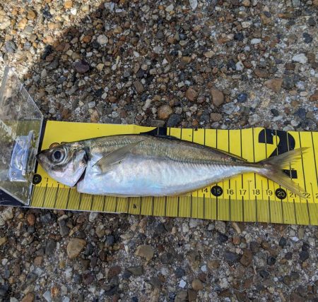 久しぶりのサバゲー