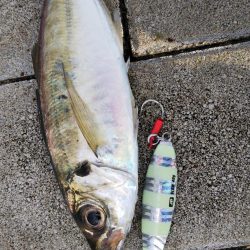 ぶら朝コスモ!!