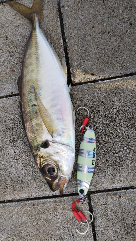 ぶら朝コスモ！！