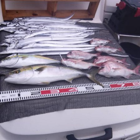 遊漁船SOUTH　9/11釣果