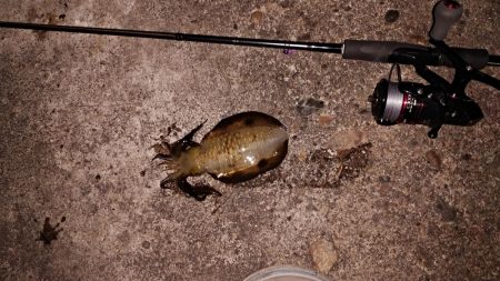 人がいっぱいなんです