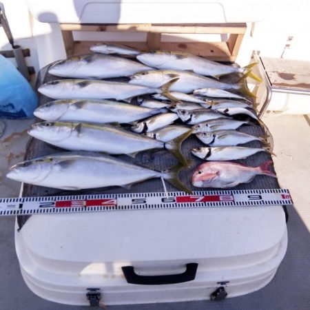 遊漁船SOUTH9/21釣果