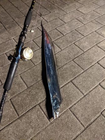 凄い人の数  太刀魚6匹