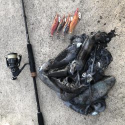 2020 佐渡ヶ島エギング 18回目