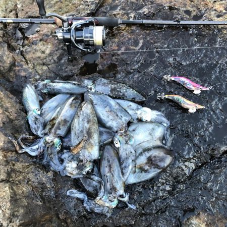 2020 佐渡ヶ島エギング 19回目