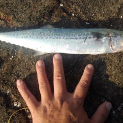 懲りずにリベンジ(^_^;)