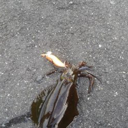 朝寝坊で導かれた？