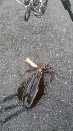 朝寝坊で導かれた？