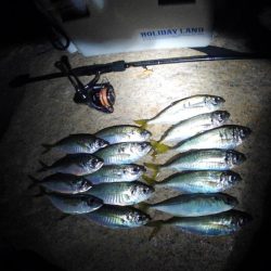 フロートゲーム