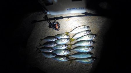 フロートゲーム