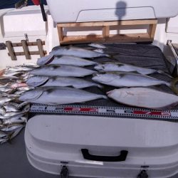 遊漁船SOUTH 9/5釣果