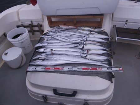 遊漁船SOUTH9/6釣果