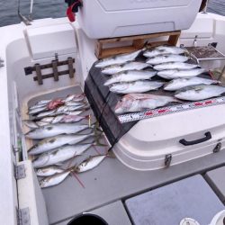 遊漁船SOUTH9/20釣果