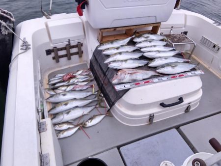 遊漁船SOUTH9/20釣果