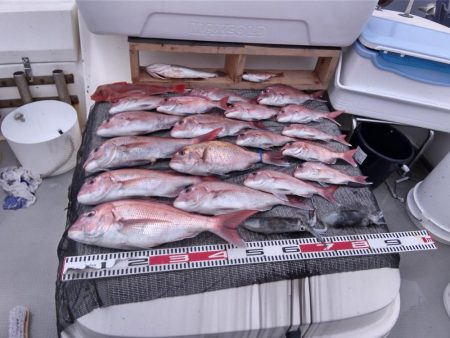 遊漁船SOUTH　9/24釣果