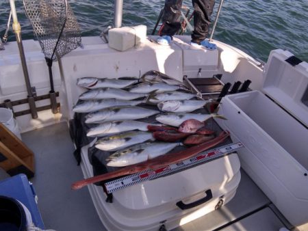 遊漁船SOUTH9/27釣果