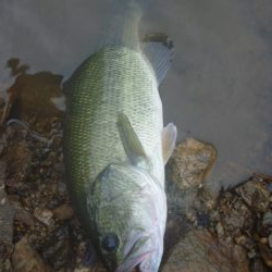 少し涼しくなったが