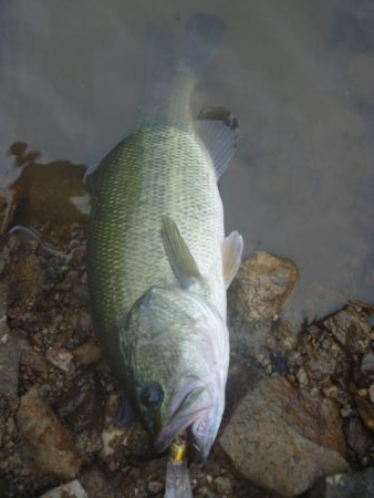 少し涼しくなったが