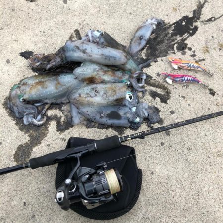 2020 佐渡ヶ島エギング 14回目