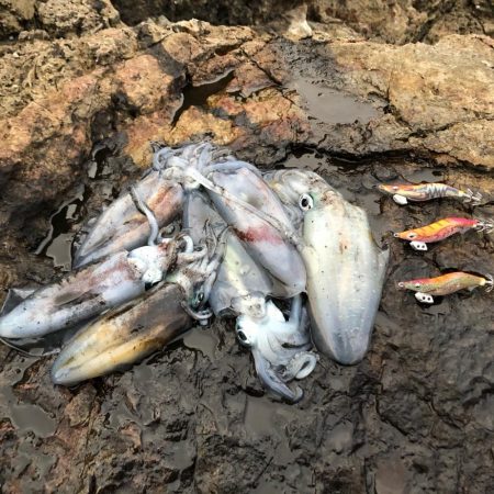 2020 佐渡ヶ島エギング 16回目