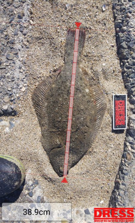 久しぶりの鈴鹿サーフ