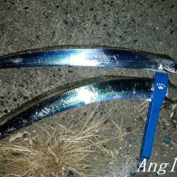 垂水でタチウオ！時合いは入れ食いに！