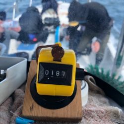 Magic(マジック) 釣果