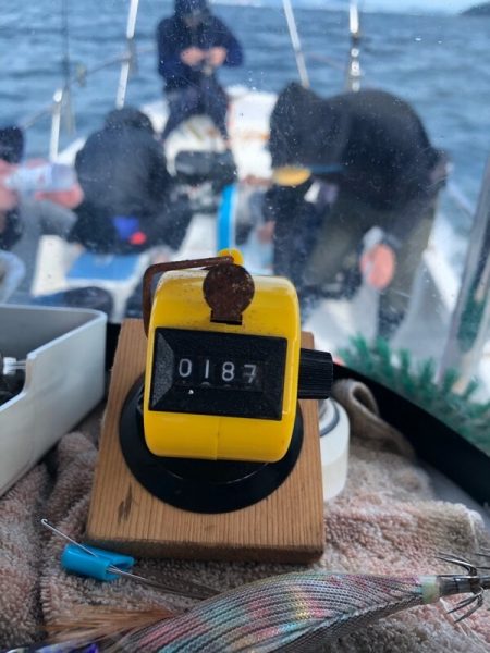 Magic(マジック) 釣果