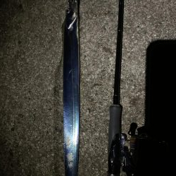 やっぱりいました。