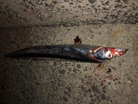 時合もろくに無く