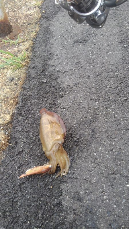 朝寝坊で導かれた？