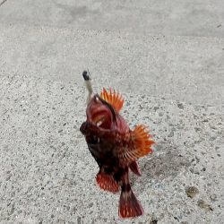 何とかタチウオ1尾ゲット