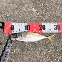 可愛くないキス