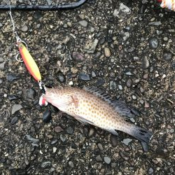 ショアジギング