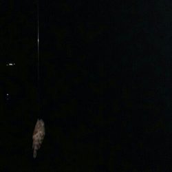 さぁー行っちゃうよー