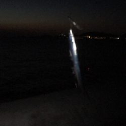 9/8釣果タチウオグレサバ