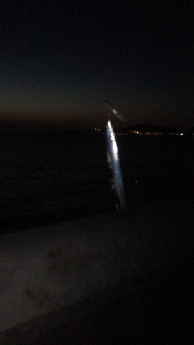 9/8釣果タチウオグレサバ