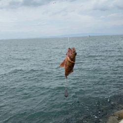 穴々をホジホジと