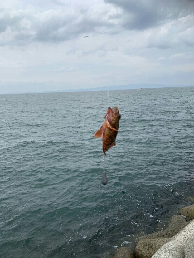 穴々をホジホジと