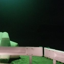 サビキ中に外道でタチウオ。