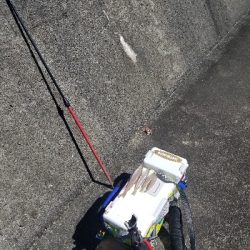 うねりでアウト