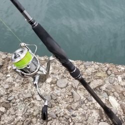 ライトショアジギング