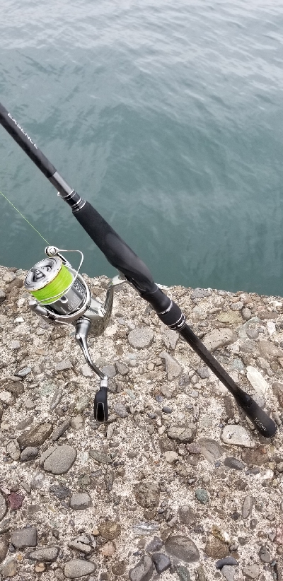 ライトショアジギング