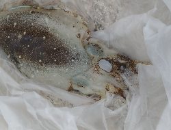 子供が海で泳いでる間の束の間