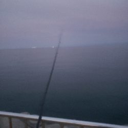 久しぶりのタッチ~