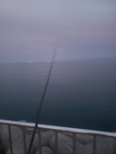 久しぶりのタッチ~