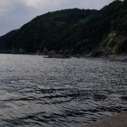 久し振りにエギング