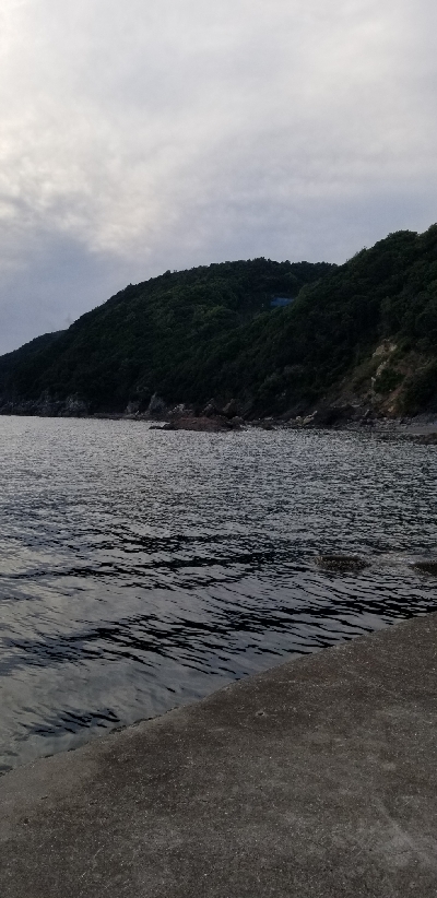 久し振りにエギング