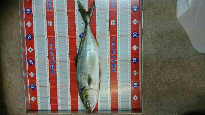 5連休最終日、ショアジギリベンジ釣行！